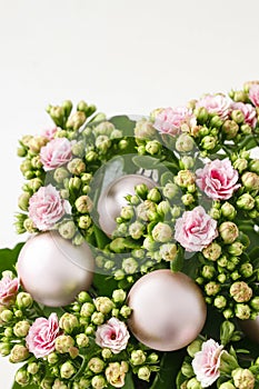 Kalanchoe blossfeldiana, commonly cultivated house plant and pink christmas balls