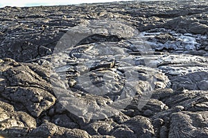 Kalapana Lava ocean entry on Hawaii big island