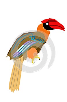 Kalaw or hornbill, pop art