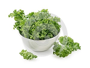 Kale in bowl on white background