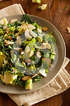 Kale and Brussel Sprout Salad