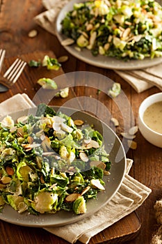 Kale and Brussel Sprout Salad