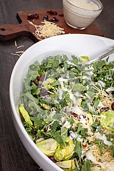 Kale and Brussels Sprouts Salad topped with cranberries, parmesan, walnuts, and dressing close up vertical shot