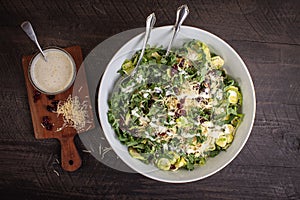 Kale and Brussels Sprouts Salad topped with cranberries, parmesan, walnuts, and dressing overhead shot