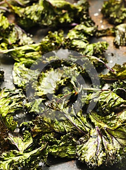 Kale chips with sea salt.