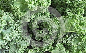 Kale