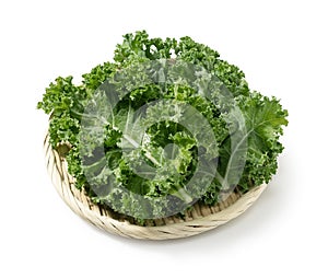 Kale in a colander set against a white background