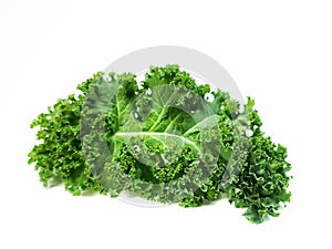 Kale isolate on white background.