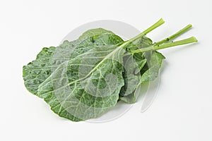 kale, kail, leaf cabbage