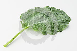 kale, kail, leaf cabbage