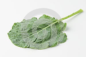 kale, kail, leaf cabbage