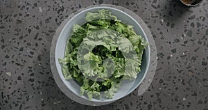 Kale leaves in blue ceramic bowl on concrete background