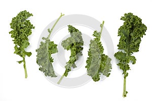 Kale leaves on white background isolated with clipping path