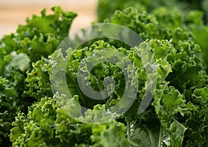 Kale placed against a wooden background. curly kale