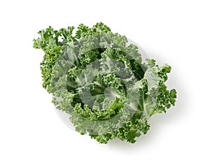 Kale placed on a white background