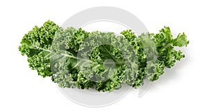 Kale placed on a white background