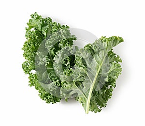 Kale placed on a white background