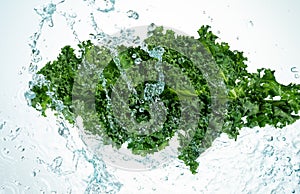 Kale Water Splash