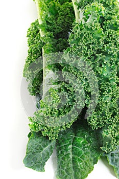 Kale on white background