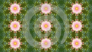 Kaleidoscope flower pattern background