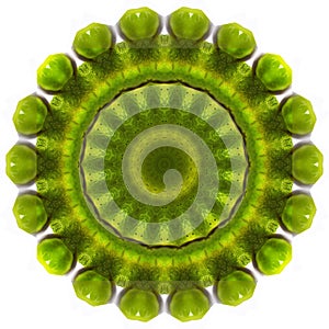 kaleidoscope, mandala