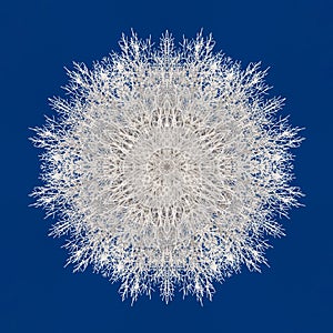 Kaleidoscope Snowflake on blue from frost branches