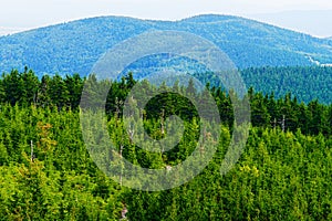 Kalenica Turnberg mountain summit in the Owl Mountains Landscape Park, Sudetes, Poland.