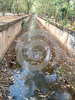 Kali is a large, elongated stream of water that flows continuously