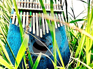 Kalimba Musical instrument and grass