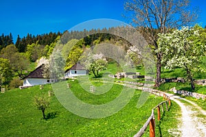 Beautiful village Kaliste in Slovakia