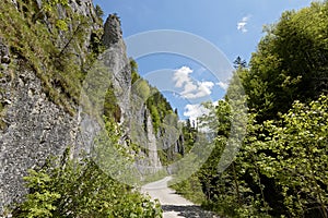 Kalkalpen National Park, Oberosterreich, Austria