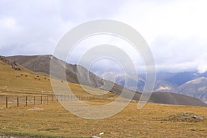 Kalmak Ashu pass in Central Tian Shan mountains, way to Song Kol lake, Kyrgyzstan, Central Asia