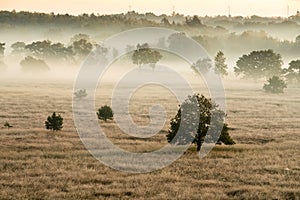 The Kalmhoutse heather park