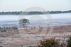 The Kalmhoutse heather park