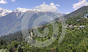 Kalpa, rogi village, indian village, kinnaur, himachal pradesh