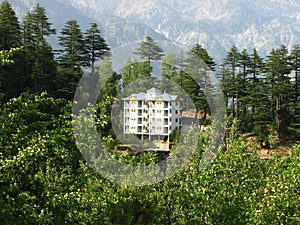 Kalpa Valley, Himachal, Pradesh, India