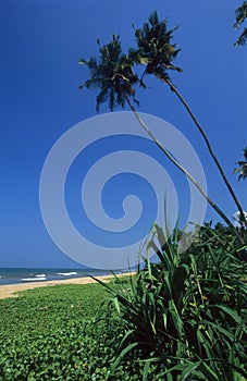 Kalutara beach Sri Lanka