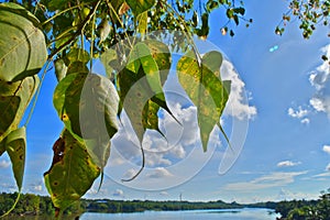 Kalutara Bodhiya, Kalutara, Sri Lanka