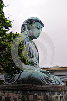 Kamakura Big Buddha - Daibutsu
