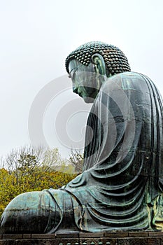Kamakura Big Buddha - Side View