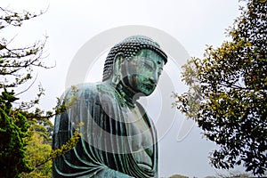 Kamakura Big Buddha Through Trees