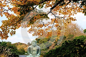 Kamakura Daibutsu in Autumn