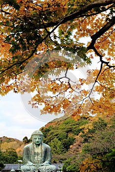 Kamakura Daibutsu in Autumn