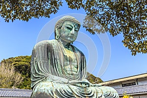 Kamakura Daibutsu 6