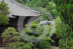 Kamakura Japan