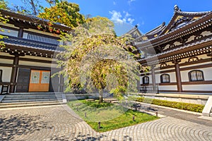 Hase-dera in Kamakura