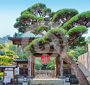 Front gate of Hase-dera temple