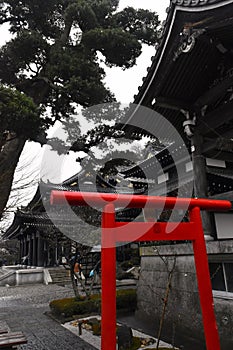 Kamakura Torii gate temple black and shrines Japanese culture photo