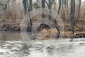 Kamchia River in winter