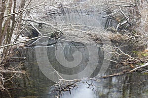 Kamchia River in winter